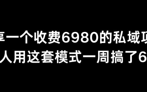 分享一個外面賣6980的私域項目,三人團隊如何僅用一周時間，通過私域運營策略實現6萬+收益的秘密