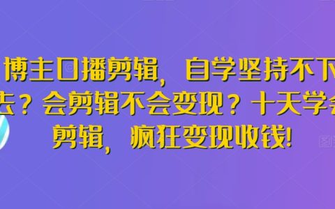 口播剪輯達(dá)人速成：告別自學(xué)困擾，十天精通剪輯技巧，實(shí)現(xiàn)快速變現(xiàn)盈利【實(shí)戰(zhàn)教程】