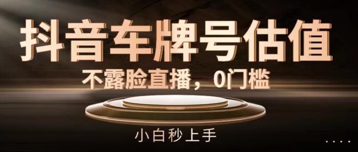 抖音車牌號估值，不露臉直播，0門檻，小白秒上手【揭秘】