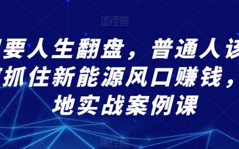 新能源財(cái)富機(jī)遇：普通人翻盤(pán)攻略與實(shí)戰(zhàn)案例解析