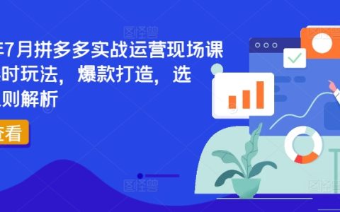 2024 年7月拼多多實戰運營特訓：最新玩法、爆款塑造、精準選品與規則詳解