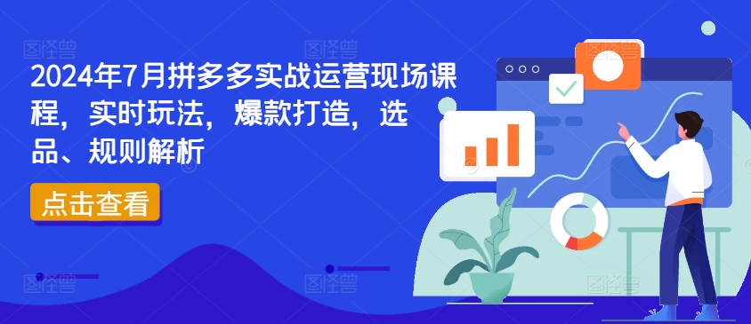 2024年7月拼多多實戰運營現場課程，實時玩法，爆款打造，選品、規則解析