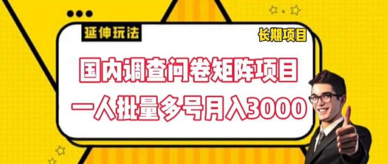 國內調查問卷矩陣項目，一人批量多號月入3000【揭秘】