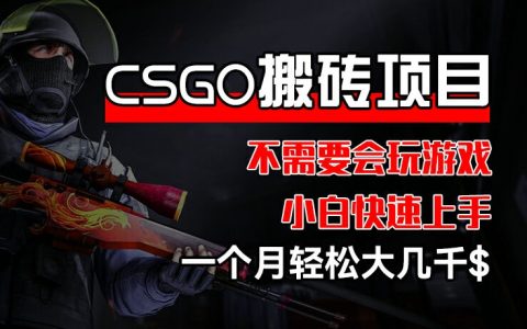 CSGO裝備搬磚項目揭秘：小白也能快速上手，一個月輕松賺取大幾千