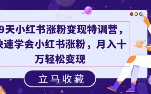 19天小紅書粉絲增長與變現特訓班，高效學習漲粉技巧，月入十萬不是夢