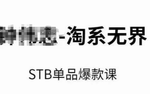 2024淘系無界STB單品爆款打造秘籍：付費引流與免費轉化策略，萬相臺關鍵詞推廣與精準人群定位核心技巧