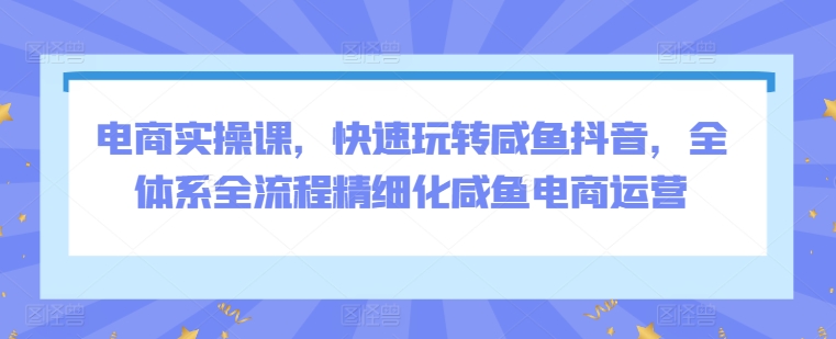 電商實(shí)操課，快速玩轉(zhuǎn)咸魚(yú)抖音，全體系全流程精細(xì)化咸魚(yú)電商運(yùn)營(yíng)