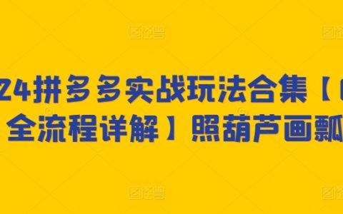 2024拼多多運營實戰攻略，從零到一全程解析【照貓畫虎技巧揭秘】