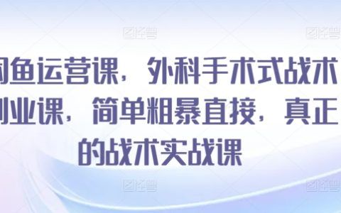閑魚賺錢攻略：精準外科手術式戰術，簡單直接創業實戰課程，告別理論唯有實戰
