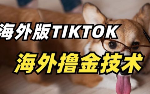 揭秘TikTok海外擼金技巧：抓住行業風口，輕松盈利