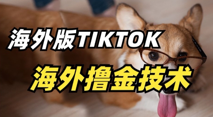 抖音海外版tiktok擼金技術，這個風口行業，賺錢真的不難【揭秘】