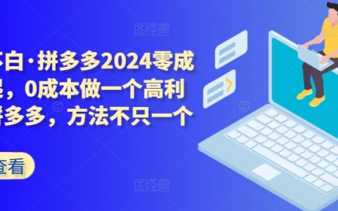 2024拼多多零成本玩法揭秘：輕松開啟高利潤店鋪，多種盈利方法分享
