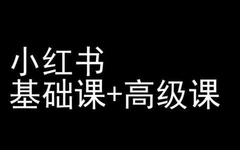 小紅書運營秘籍,基礎(chǔ)課+高級課全套教程