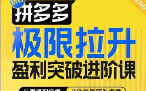 拼多多盈利加速課程，深度解析算法與運營策略，全方位團隊建設指南，助您高效提升店鋪收益