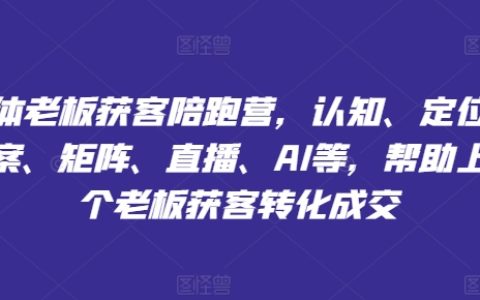 萬位老板實戰陪跑計劃：深度解析認知策略、精準定位、高效文案、營銷矩陣、直播營銷、AI賦能，助力老板高效獲客轉化成交
