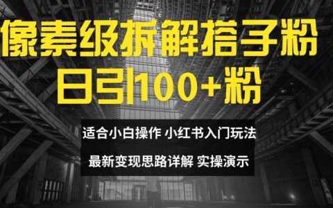 搭子粉精準引流攻略，每日新增100+用戶，小白快速入門，最新變現技巧全解析【揭秘】
