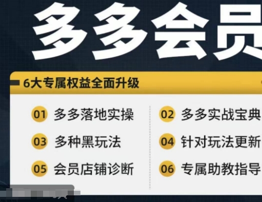 拼多多會員，拼多多實戰寶典+實戰落地實操，從新手到高階內容全面覆蓋