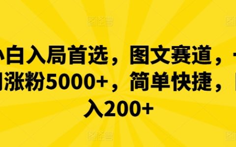 新手快速上手圖文運營攻略，一周粉絲破5000，操作簡便，日收益超200+