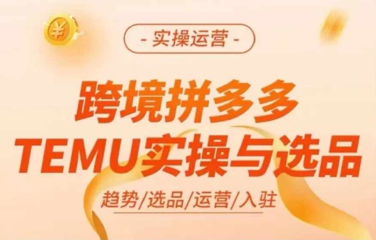 跨境拼多多TEMU實操與選品，多多temu跨境選品運營實操