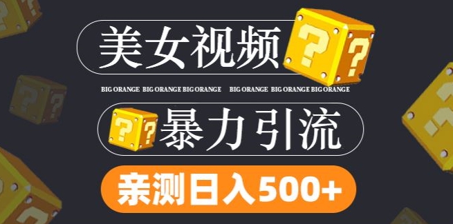 搬運tk美女視頻全網分發，日引s粉300+，輕松變現，不限流量不封號【揭秘】