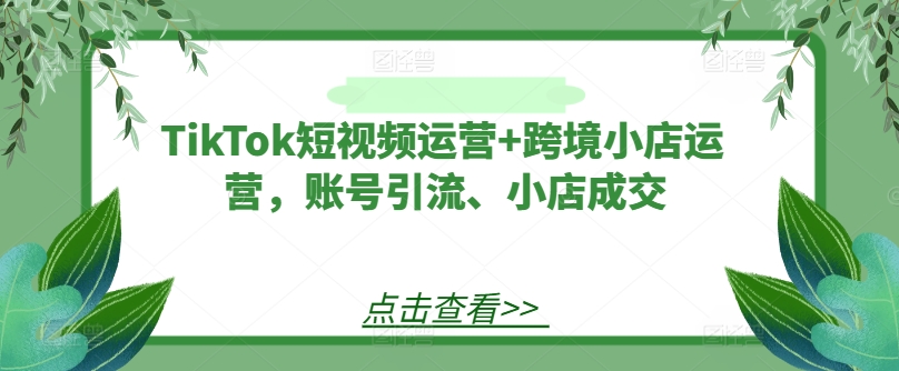 TikTok短視頻運營+跨境小店運營，賬號引流、小店成交