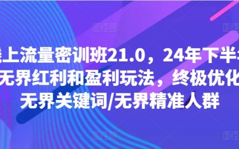 2024下半年線上流量增長策略特訓：無邊界紅利與盈利模式揭秘，深度優化技巧、關鍵詞優化與精準用戶群構建