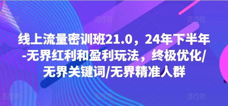 線上流量密訓班21.0，24年下半年-無界紅利和盈利玩法，終極優化/無界關鍵詞/無界精準人群