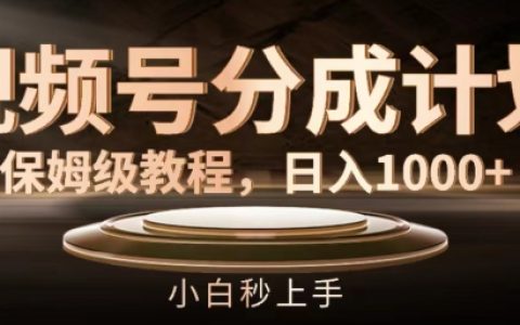 視頻號(hào)分成計(jì)劃全攻略：日賺 1000攻略，小白輕松入門指南【深度揭秘】