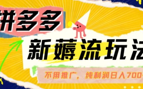 拼多多潮流賺法曝光：零成本自然流量運營，單筆利潤超50，日收入突破700【獨家解析】