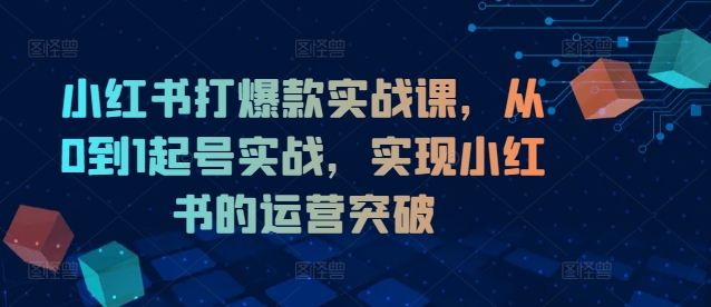 小紅書打爆款實戰課，從0到1起號實戰，實現小紅書的運營突破