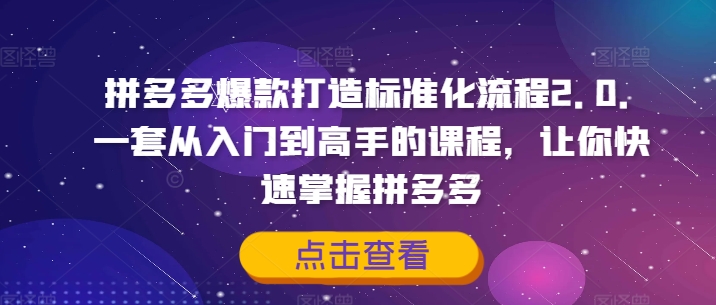 拼多多爆款打造標準化流程2.0，一套從入門到高手的課程，讓你快速掌握拼多多
