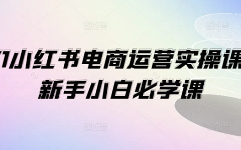 新手電商運營秘籍：1V1小紅書實戰課程，從零打造爆款店鋪攻略