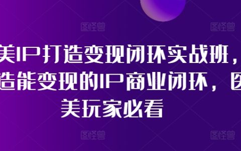 醫(yī)美領(lǐng)域IP構(gòu)建與變現(xiàn)策略實戰(zhàn)課程，構(gòu)建高效IP商業(yè)閉環(huán)，醫(yī)美行業(yè)從業(yè)者必學(xué)指南