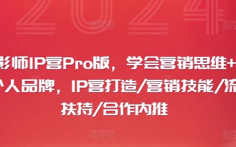 攝影師IP營Pro進階版：掌握營銷思維，塑造個人品牌，獲取IP營全方位打造秘籍，包括營銷技巧、流量扶持與合作內(nèi)推