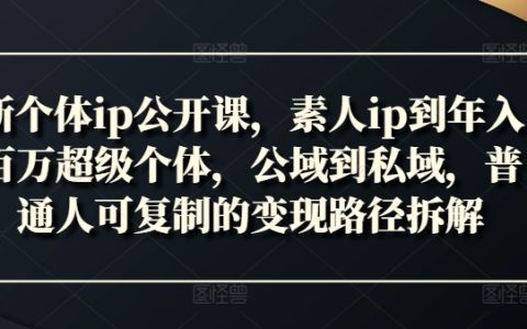 打造個人品牌：零基礎(chǔ)素人如何晉升年入百萬超級個體，公域流量到私域轉(zhuǎn)化，普通人高效變現(xiàn)策略詳解