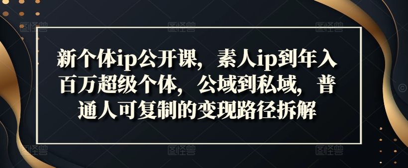 新個體ip公開課，素人ip到年入百萬超級個體，公域到私域，普通人可復制的變現路徑拆解