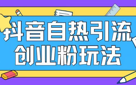 抖音精準引流實戰：自熱式創業粉增長法，每日新增200+粉絲，提升用戶轉化率