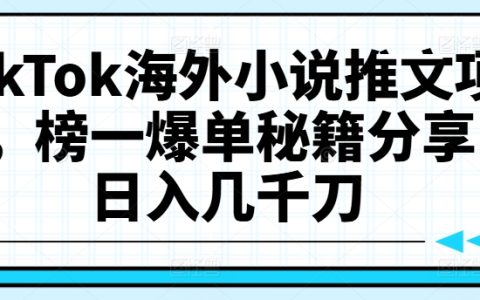 【TikTok國際版小說推廣策略揭秘】：掌握爆款推文技巧，實現(xiàn)日收益數(shù)千美元的秘訣