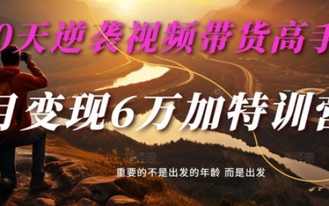 30天快速進(jìn)階視頻直播帶貨專家：?jiǎn)卧聽I收6萬+特訓(xùn)計(jì)劃 - 麥子甜
