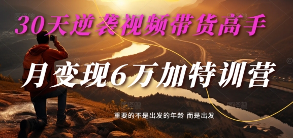 30天快速進階視頻直播帶貨專家：單月營收6萬+特訓計劃 - 麥子甜