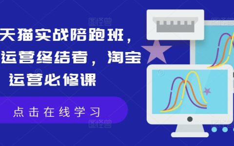 天貓?zhí)詫殞嵅佥o導(dǎo)班：店鋪高效運營攻略，運營瓶頸突破課程，電商運營核心教程