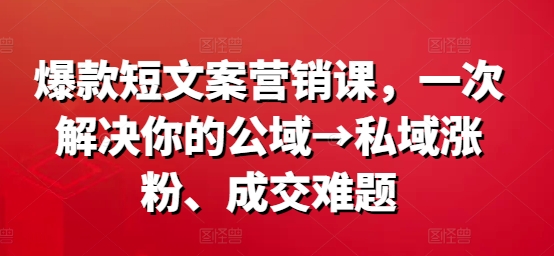 公域到私域轉(zhuǎn)化大師課：一招解決漲粉與成交痛點(diǎn)，揭秘爆款文案背后的秘密