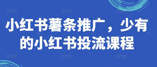 獨家揭秘：小紅書薯條推廣攻略，高效投流課程助你快速吸粉