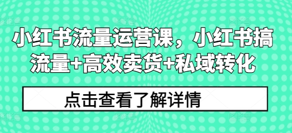 小紅書流量運營課，小紅書搞流量+高效賣貨+私域轉化