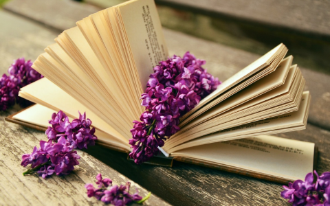 網上賺錢的方法門路有哪些?