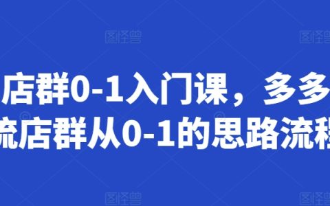 拼多多店鋪群運營0到1入門教程：從零開始搭建自然流量店鋪群全流程指南