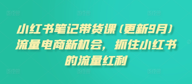 小紅書筆記帶貨課(更新11月)流量電商新機會，抓住小紅書的流量紅利