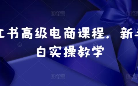 小紅書電商運營入門：新手小白實操教學，從零開始打造爆款店鋪