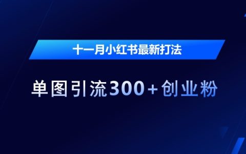 高效利用小紅書平臺，十一月單圖引流300+精準創業粉絲技巧分享