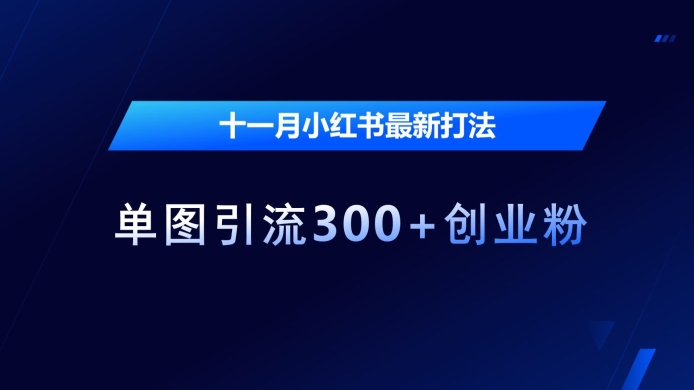 十一月小紅書最新打法，單圖引流300+創業粉【揭秘】